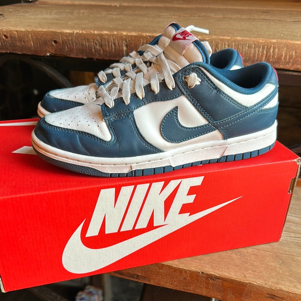 Nike Navy and White Dunk Sneakers